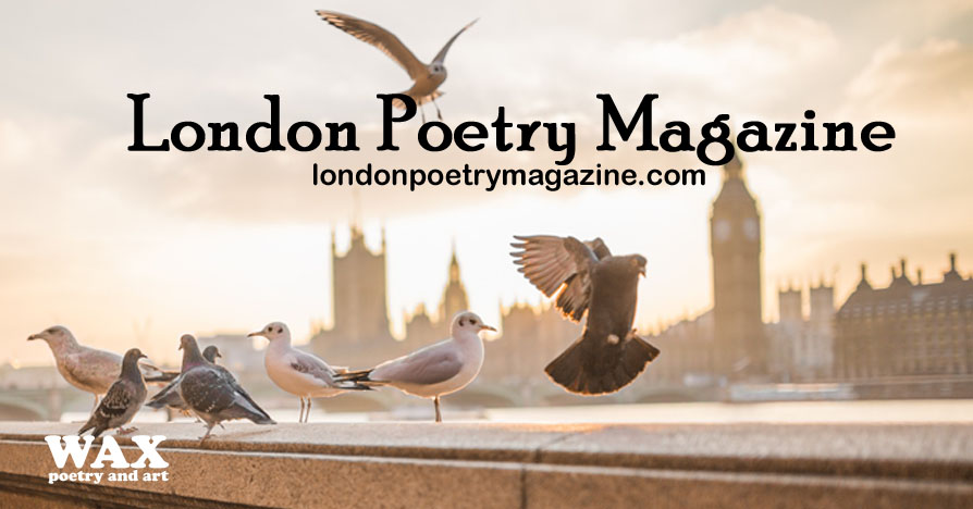 Title image shows numerous pigeons perched on a bridge overlooking the Thames.