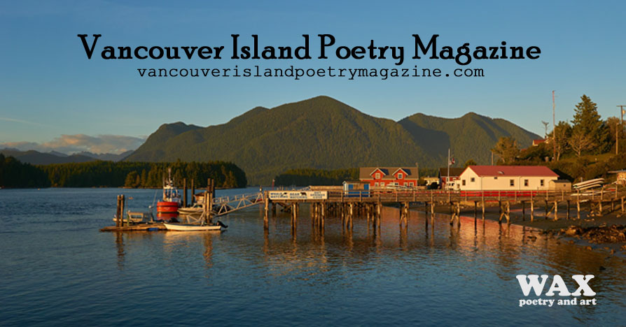 Title image shows a view of the Tofino harbour with forested mountain and blue sky in the background.