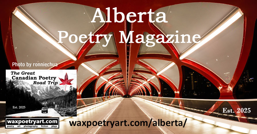 Title image shows a unique view of the Peace Bridge in Calgary, Alberta.
	The photo is taken inside the bridge, at night.