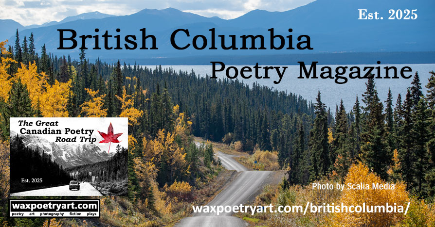 Title image a forested area in autumn, with golden trees
	and green pines. A dirt road leads through the trees. In the background, a lake, with a
	green mountain range behind it.