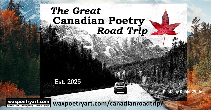 Title image shows a vehicle driving down a highway in a forested area, heading into the mountains.