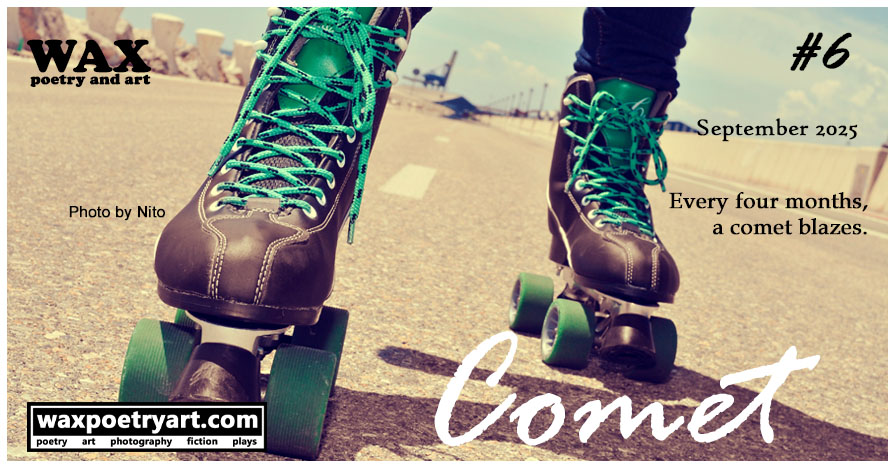 Comet #6. Image shows a closeup of black rollerskates on an asphalt road.
		The rollerskates have bright green laces and green wheels.