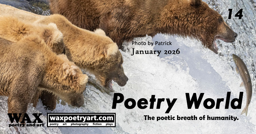 Poetry World #14.