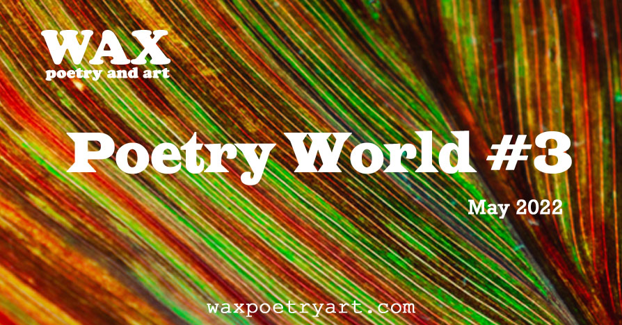 Poetry World #3. Title image shows a closeup of a colourful striped leaf.