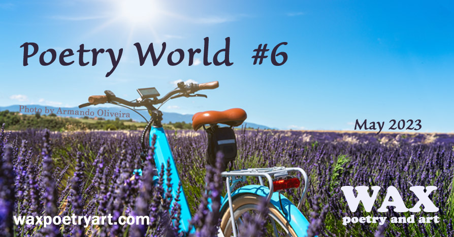 Image text reads, 'Poetry World #6; May 23; waxpoetryart.com; Wax Poetry and Art logo; Photo by Armando Oliveira;
	Image is of a bight sunny day, a blue bike stands in a lavender field, giving the feeling of spring and summer adventure.