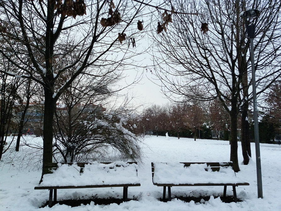 View of two snow covered park benches in front of a snow-covered field and leafless trees.