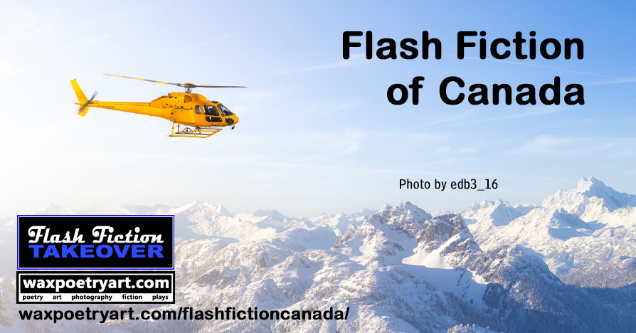 Cover image shows a gondola high up and a mountain behind it.