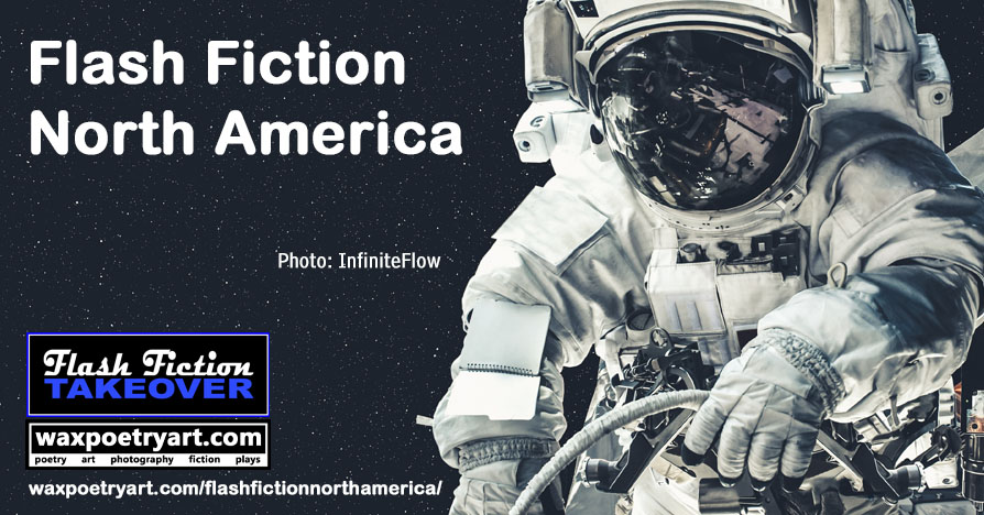 Cover image shows a closeup front view of an astronaut who seems to be on a spacewalk.
	The astronaut is holding a cable.