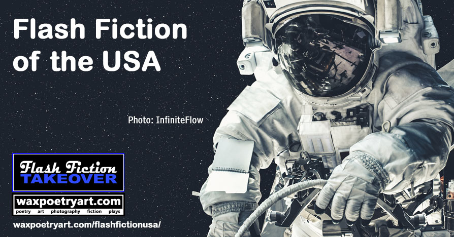 Cover image shows a closeup front view of an astronaut who seems to be on a spacewalk.
	The astronaut is holding a cable.