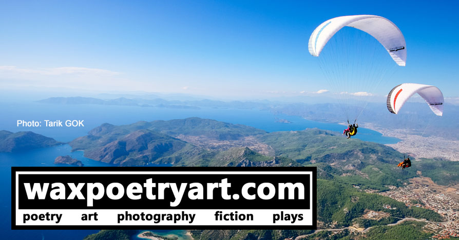 Title image shows a view of two paragliders high up in the air overlooking green land and blue ocean and sky.
