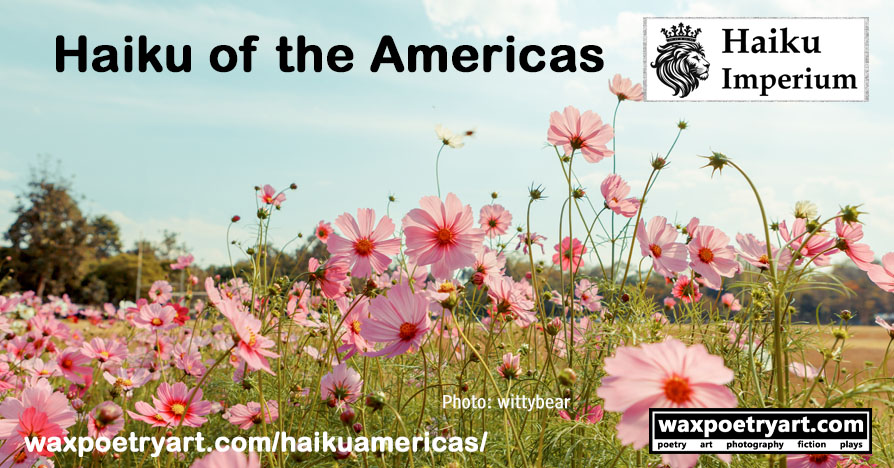 Cover image shows a green field filled with pink flowers, blue sky in the background.