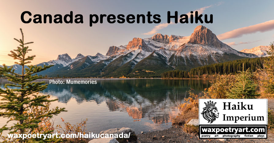 Cover image shows a sharp-ridged snow-capped mountain and its reflection in a lake. A pine tree is in the foreground.