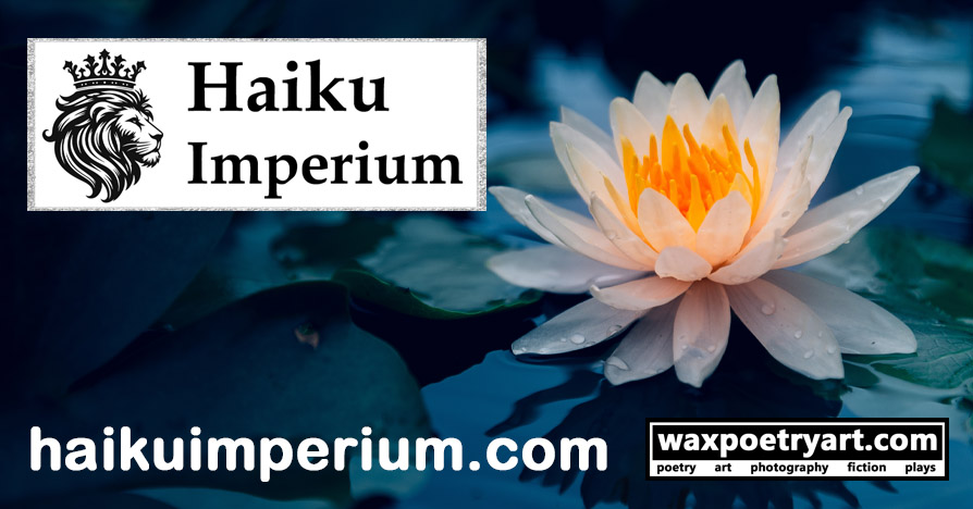 Cover image shows a white and yellow water lily on dark blue water, surrounded by dark green leaves.