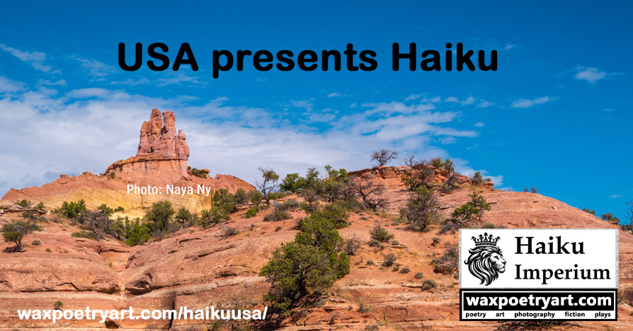 Cover image shows a sand coloured, rocky, desert mountain, covered in sparse trees, and blue sky.