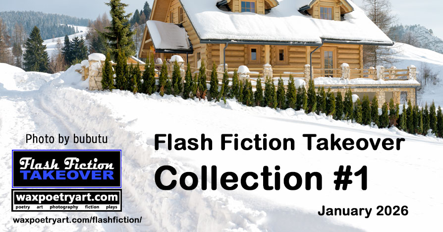 Flash Fiction Takeover Collection #1