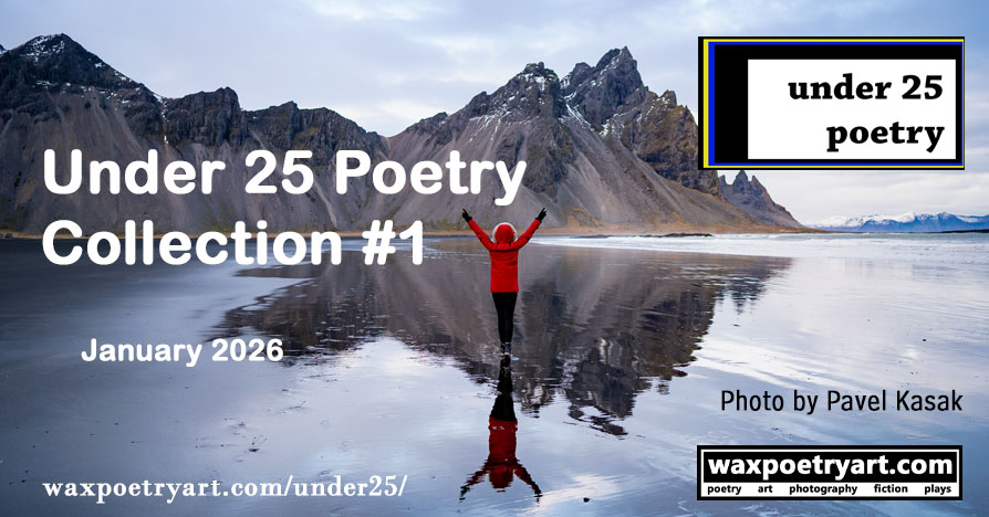 Under 25 Poetry Collection #1