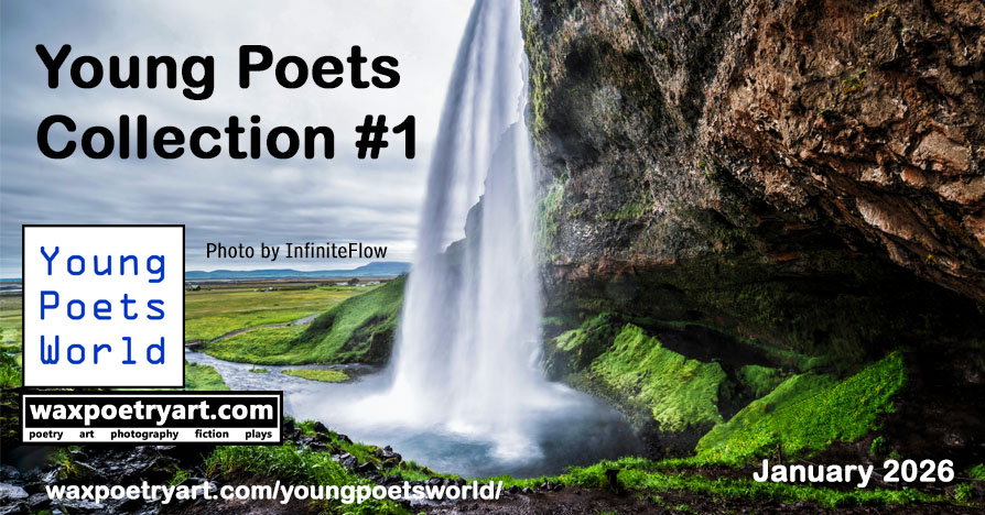 Young Poets Collection #1.