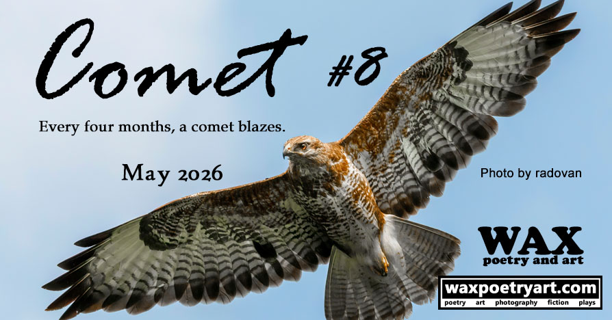 Comet #8 cover.