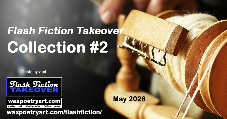 Flash Fiction Takeover Collection #2.