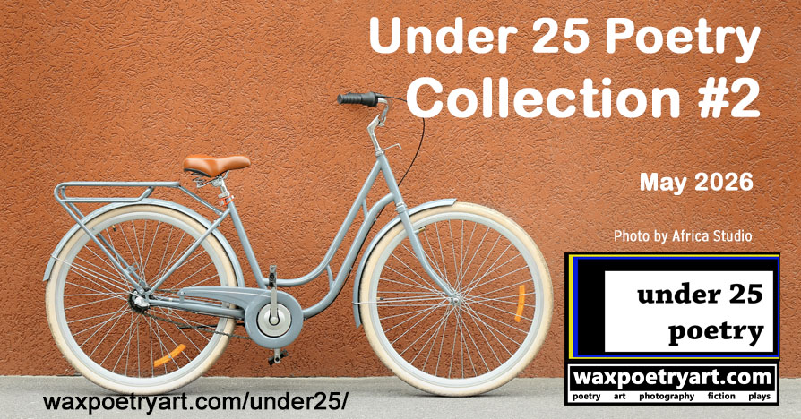 Under 25 Poetry Collection #2.