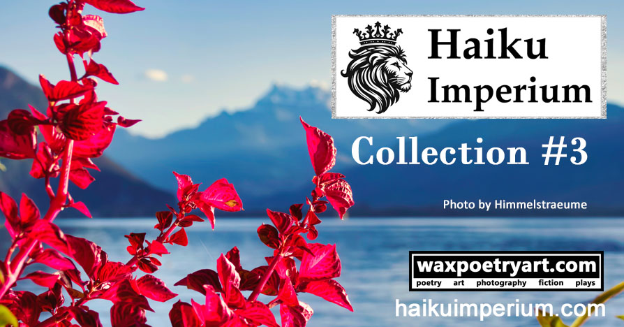 Haiku Imperium Collection #3.