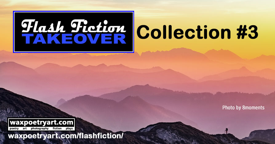 Flash Fiction Takeover Collection #3.