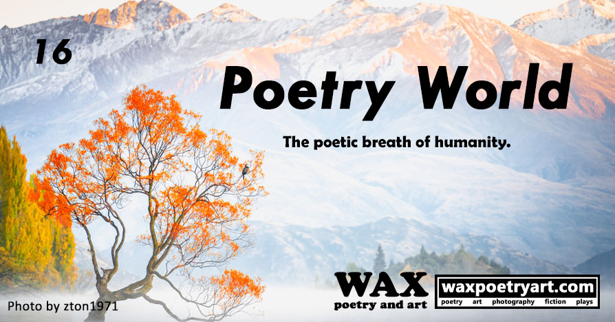 Poetry World #16.