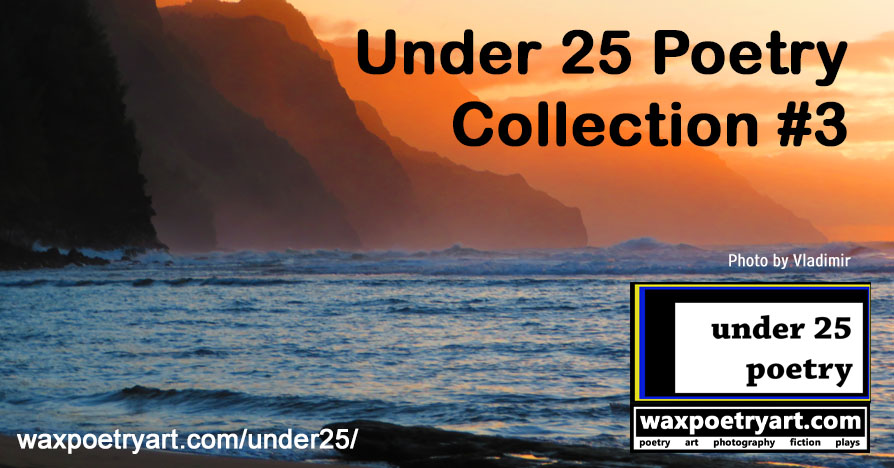 Under 25 Poetry Collection #3.