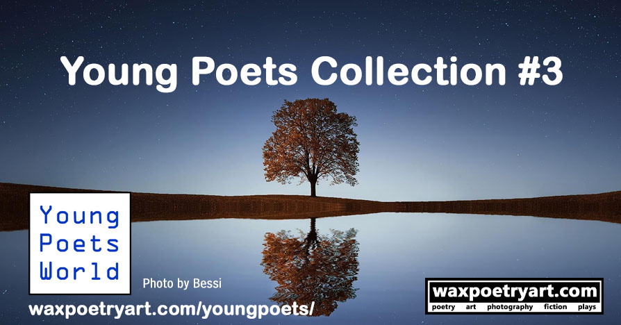 Young Poets Collection #3.