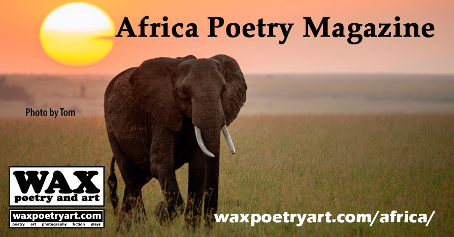 Africa Poetry Magazine cover image.