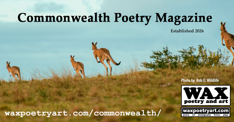 Commonwealth Poetry Magazine cover.