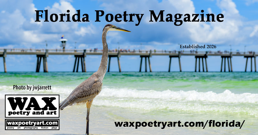 Florida Poetry Magazine.