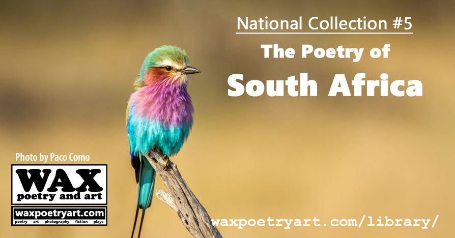 The Poetry of South Africa cover.