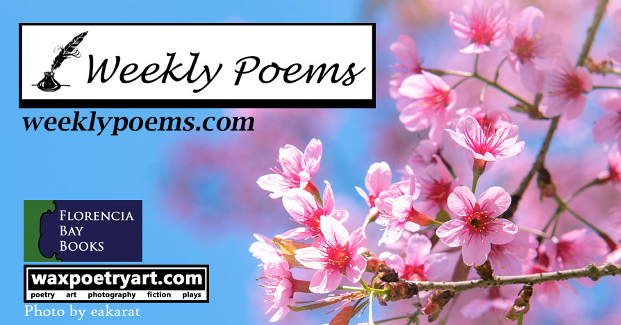 Weekly Poems cover image.
