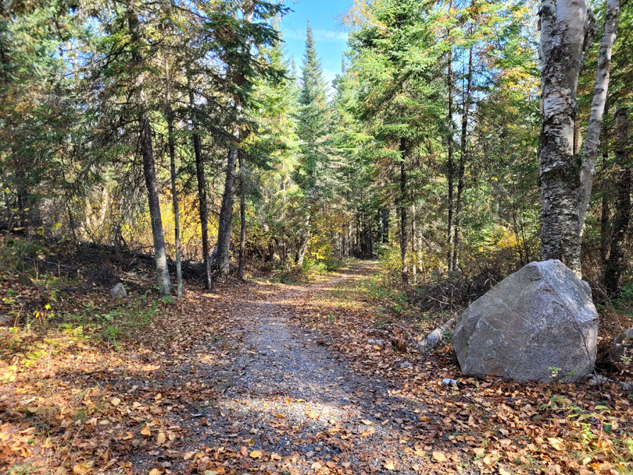Autumn leaves litter a pathway into a wooded area; a large boulder at the entrance.