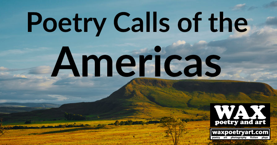 Americas Poetry Calls.