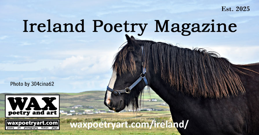 Title image shows a beautiful black horse with a white strip on his nose.
	In the background, green fields and hills, with houses on the hills.