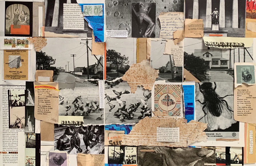 Image is of a collage on cardboard.
		The collage is composed of black and white photos, clippings of text taken from publications, as well as some handwritten notes.
		Some of the photos are of a statue, a few have people, birds, a fly.
		In the centre of the collage there are bits of paper that seem to have been treated with heat as they appear toasted.
		As well, a greeting card, and the word SILENT.