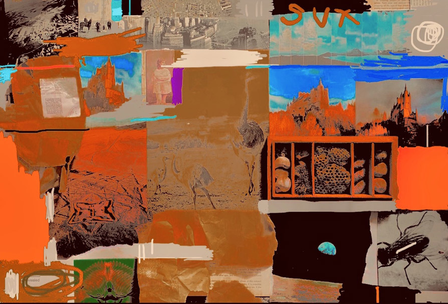 This third collage has fewer defined elements.
		A large portion on the left side is orange-hued.
		Three over-exposed emus can be made out in one image.
		There are strips of sky blue.
		One image shows the earth from space.
		Another image shows a fly.