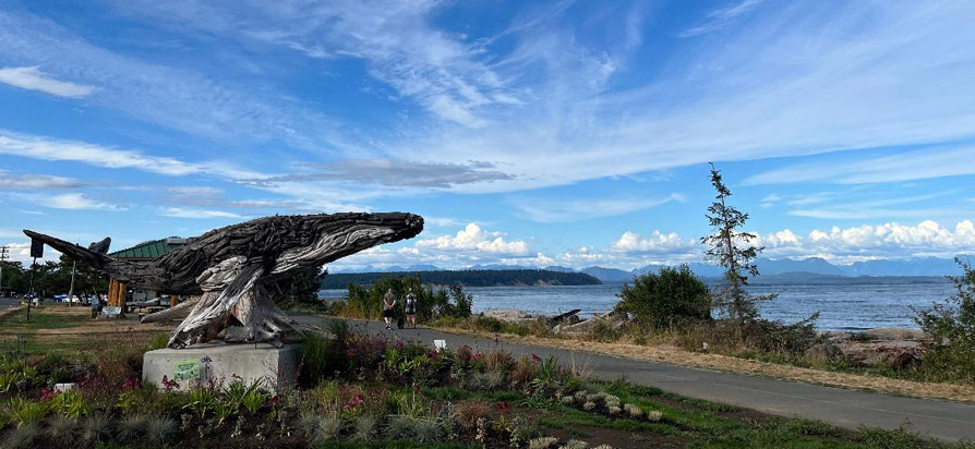 Image shows a large, mounted driftwood sculpture of a whale, composed of darker coloured driftwood for the body and lighter coloured driftwood for the whale's belly.
		The sculpture is adjacent to a pathway and overlooks the ocean.