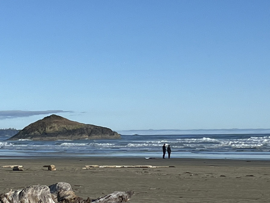 Photo shows a beach view of dark brown sand, as if after a recent rain.
			Waves can be seen rolling in.
			Two people can be seen near the water, talking to each other and looking at the water.
			Incinerator Rock juts out of the water.
			The view of the rock is close enough to see the different layers of colour.
			Above the rock, clear blue sky.