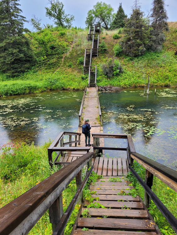 Photo shows a green natural setting, a wooden staircase leads down, over a small body of water, then up a hill.
		A woman stands in the middle section watching the water.