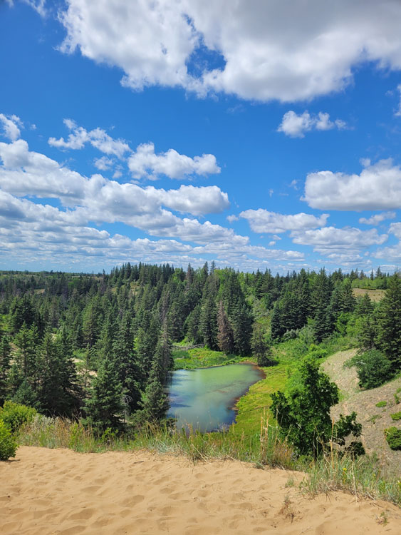 Photo shows a sandy area leading down a hill toward a blue-green pond surrounded by grass and trees.