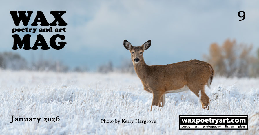 Wax Poetry and Art Magazine #8.
	Title image shows a steaming hot glass kettle full of black tea being tipped
	and poured into a glass cup on a glass saucer. The tea in the cup is rich, dark, and golden.
	Steam surrounds the cup. On the right of the teacup is a large ginger stem.