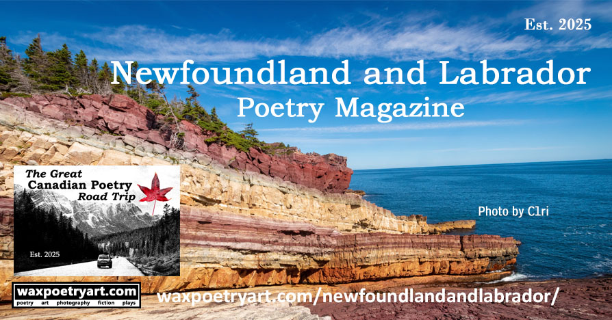 Title image shows rocky cliffs at Kings Cove showing sedimentary layers, overlooking the ocean.