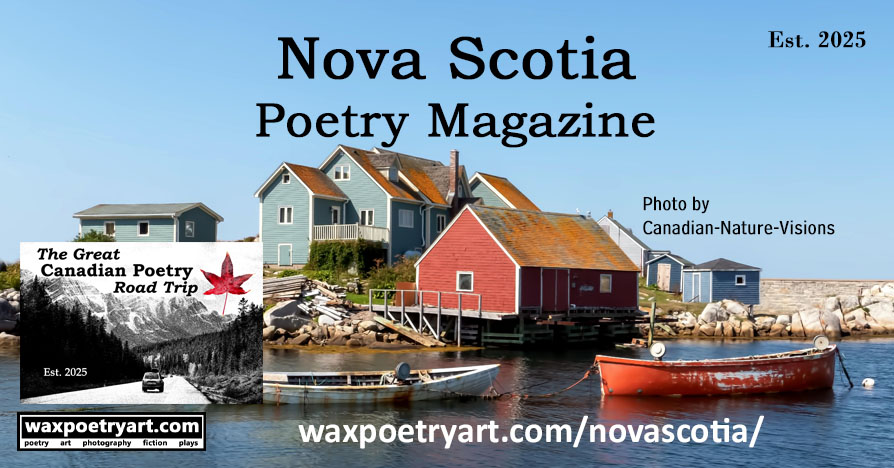 Title image shows houses and fishing boats on the water,
	giving the vibe of a small fishing village.