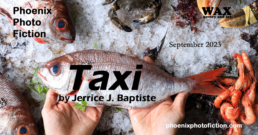 Cover image for 'Taxi' by Jerrice J. Baptiste.
		Image shows two outstretched palms presenting a raw fish. The fish has a pinkish hue, and bits of cilantro stick out from under the fish.
		In the background, a scene like out of a fish market. The hands are holding the fish over a crushed ice display with fresh seafood.
		Surrounding the hands holding the fish are more of the same type of raw fish, a brown crab, the bound claws of a live lobster, and a pild of pink prawns.