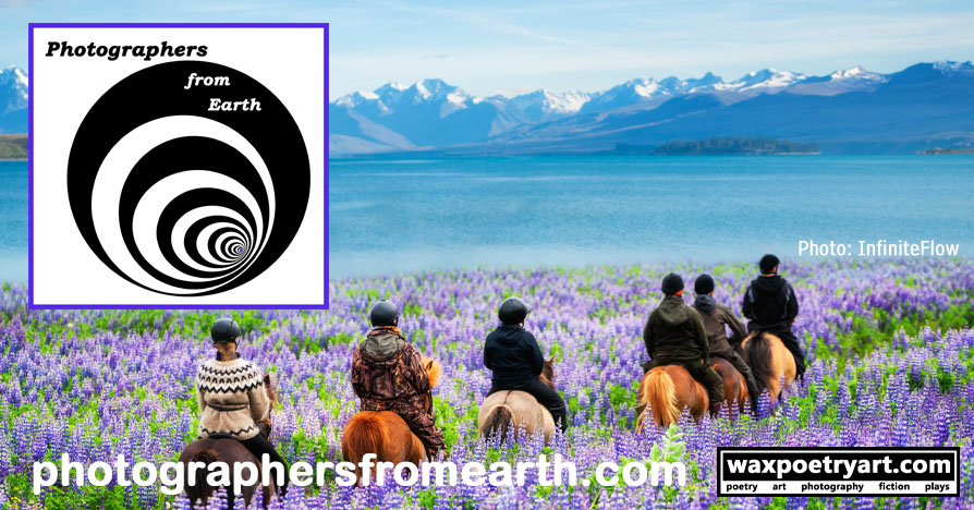 Cover image shows a row of people on horses moving through a lavender field. 
	In the background is blue water and a snow-capped mountain range.