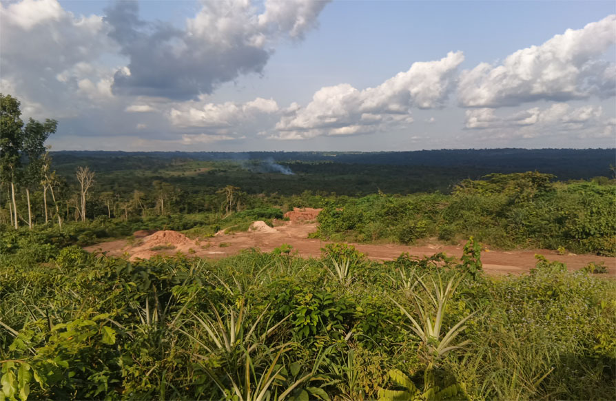Landscape.