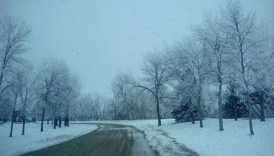 Photo shows a snow covered scene of a road with trees and snow lining the sides.